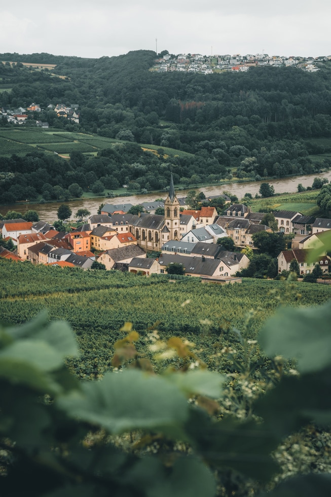 Wanderung_TRaumschleife